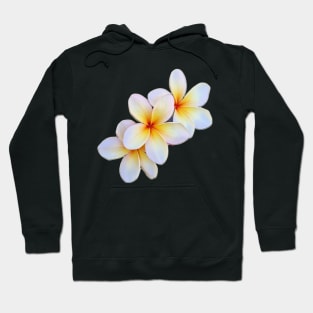 Mango Delight separated 3 blooms Hoodie